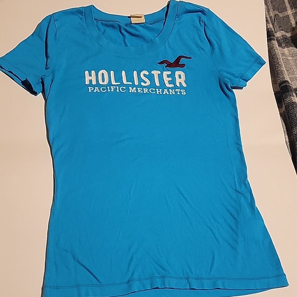 Hollister Turquoise Crew Neck Logo Tee with Maroon Seagull